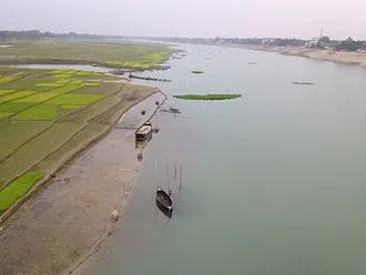 পলিসি রিসার্চ