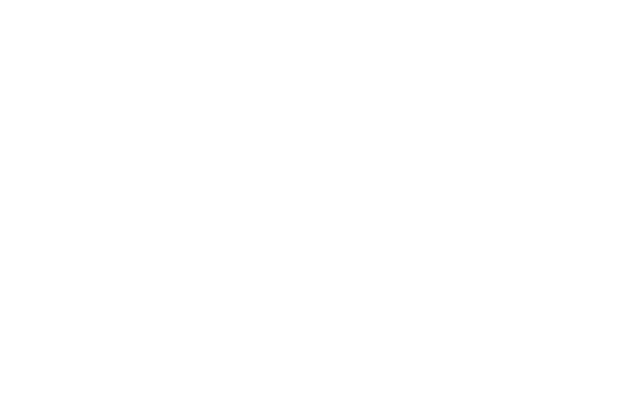 Asset 1b