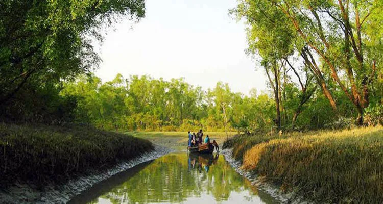 হাতিয়া উন্নয়ন ফোরাম – নোয়াখালী জেলা