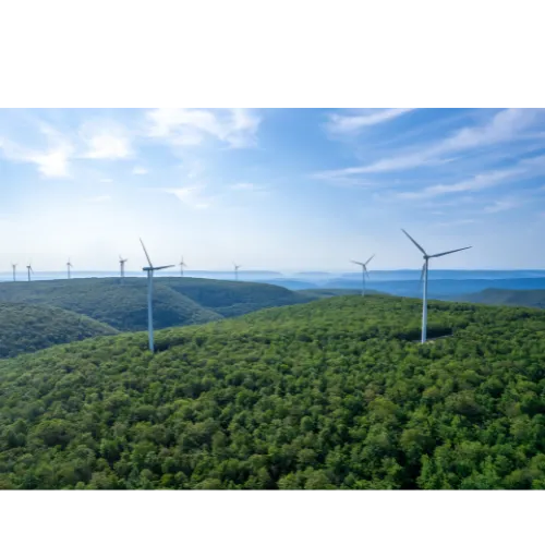 renewable(1)