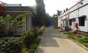 আমাদের উল্লাপাড়া