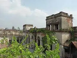 পলিসি রিসার্চ