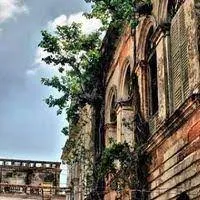 পরিবেশ সংরক্ষণ ও উন্নয়ন