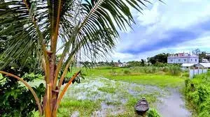 পরিবেশ সংরক্ষণ ও উন্নয়ন