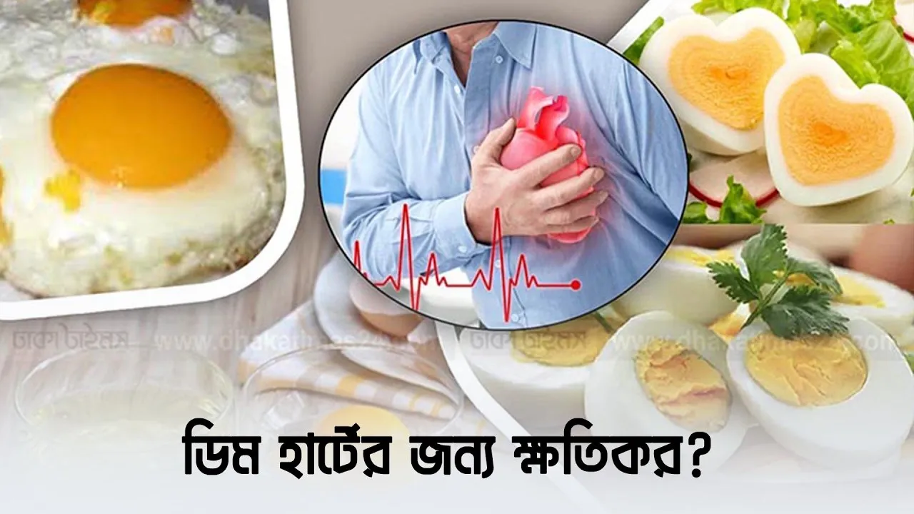 ডিম হার্টের জন্য ক্ষতিকর?