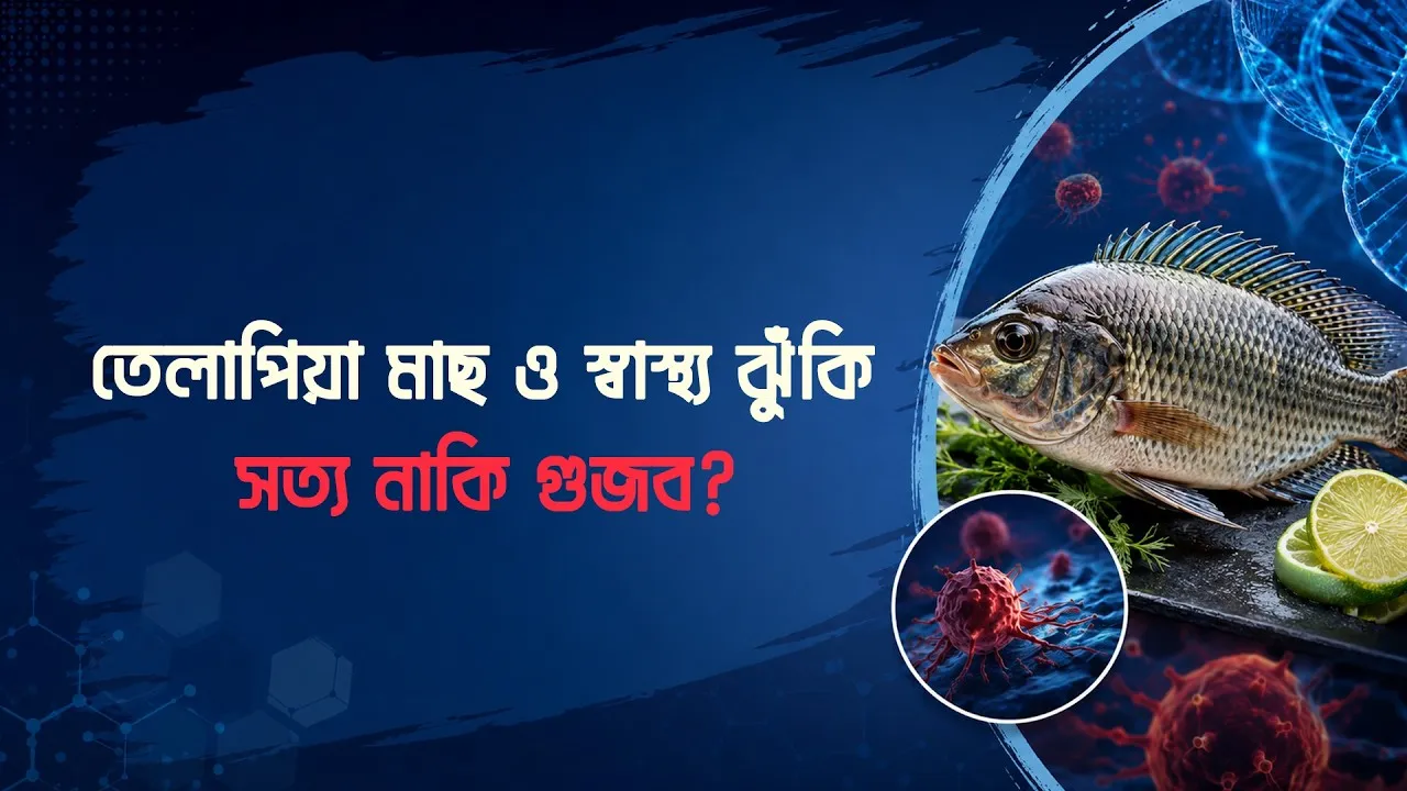 তেলাপিয়া মাছ ও স্বাস্থ্য ঝুঁকি : সত্য নাকি গুজব? | তেলাপিয়া মাছ খাওয়া কি নিরাপদ?