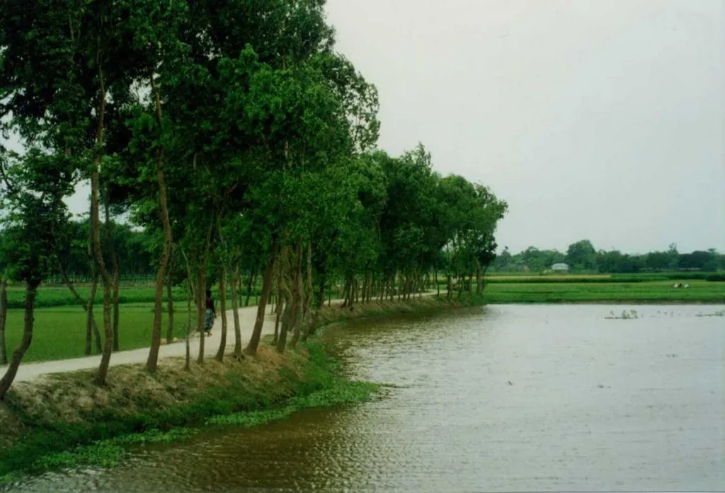 plantation-placeholder.original (1)