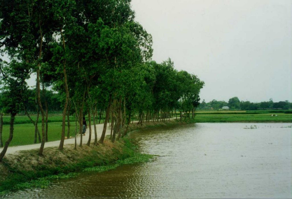 plantation-placeholder.original (1)