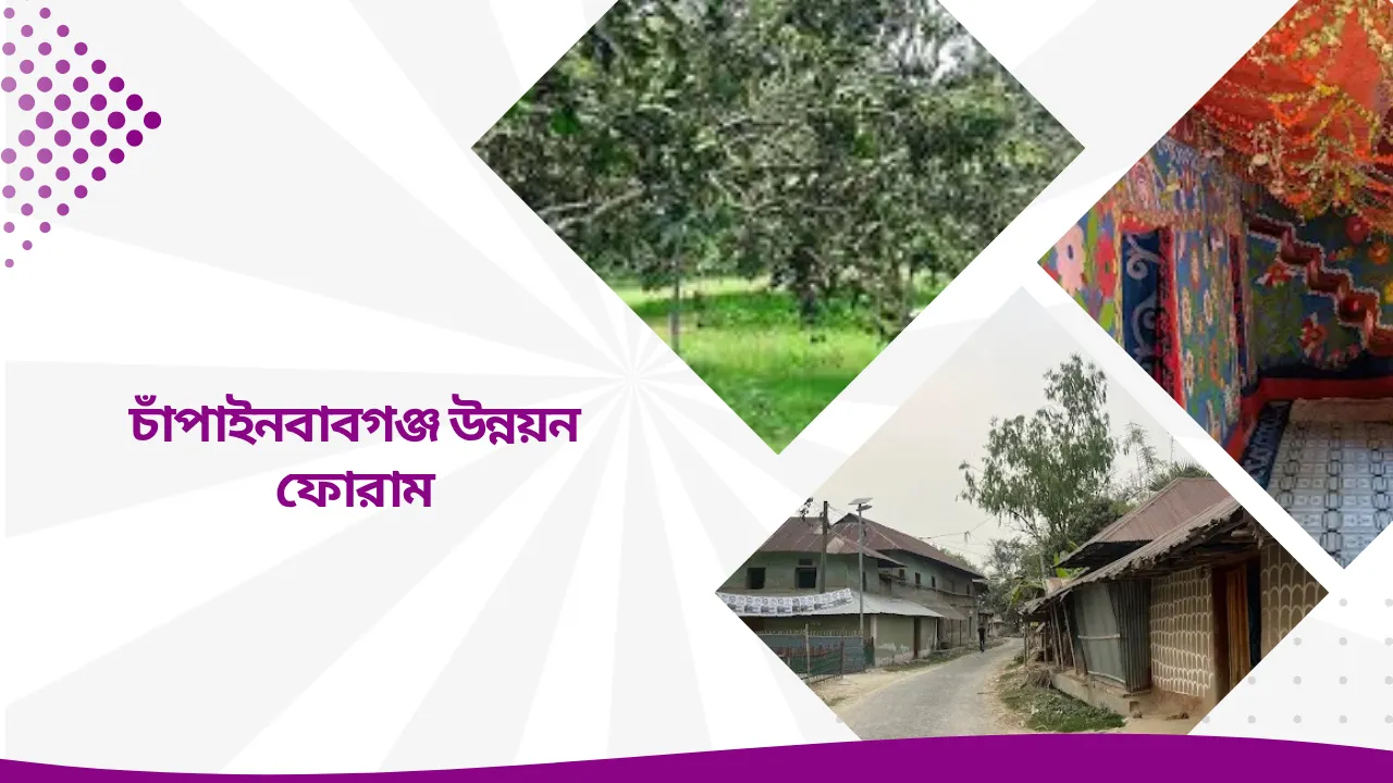 রাজধানী উন্নয়ন ফোরাম (3)