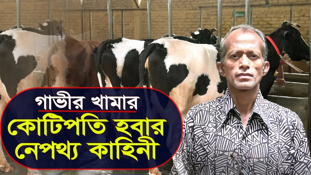 গাভীর খামার : কোটিপতি হবার নেপথ্য কাহিনী | আলী বাবা এগ্রো | বাংলার কৃষি | পর্ব - ০১ | কামাল মিনা