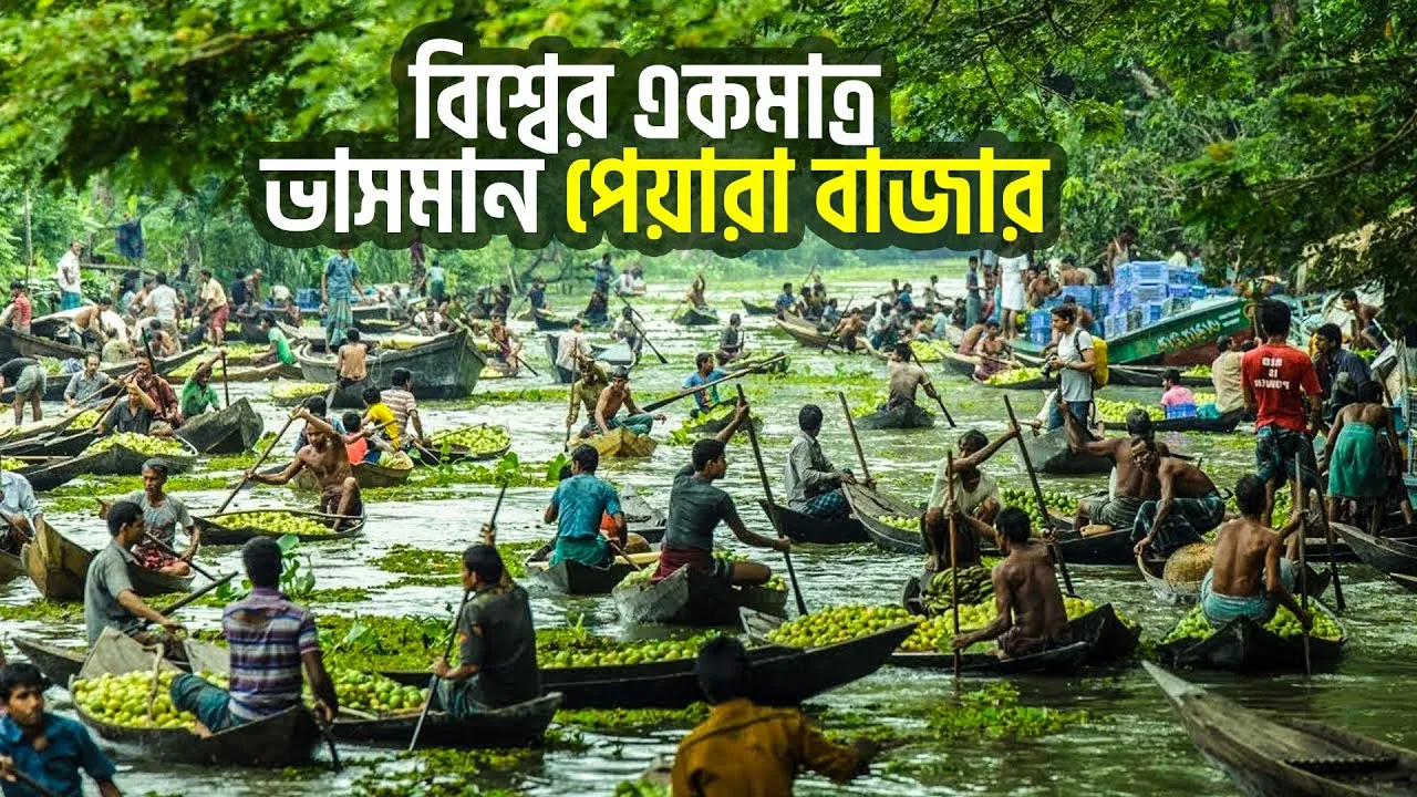 বিশ্বের একমাত্র ভাসমান পেয়ারা বাজার | ভিমরুলি বাজার | ডকুমেন্টারি